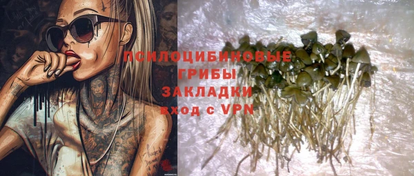 синтетический гашиш Алексин